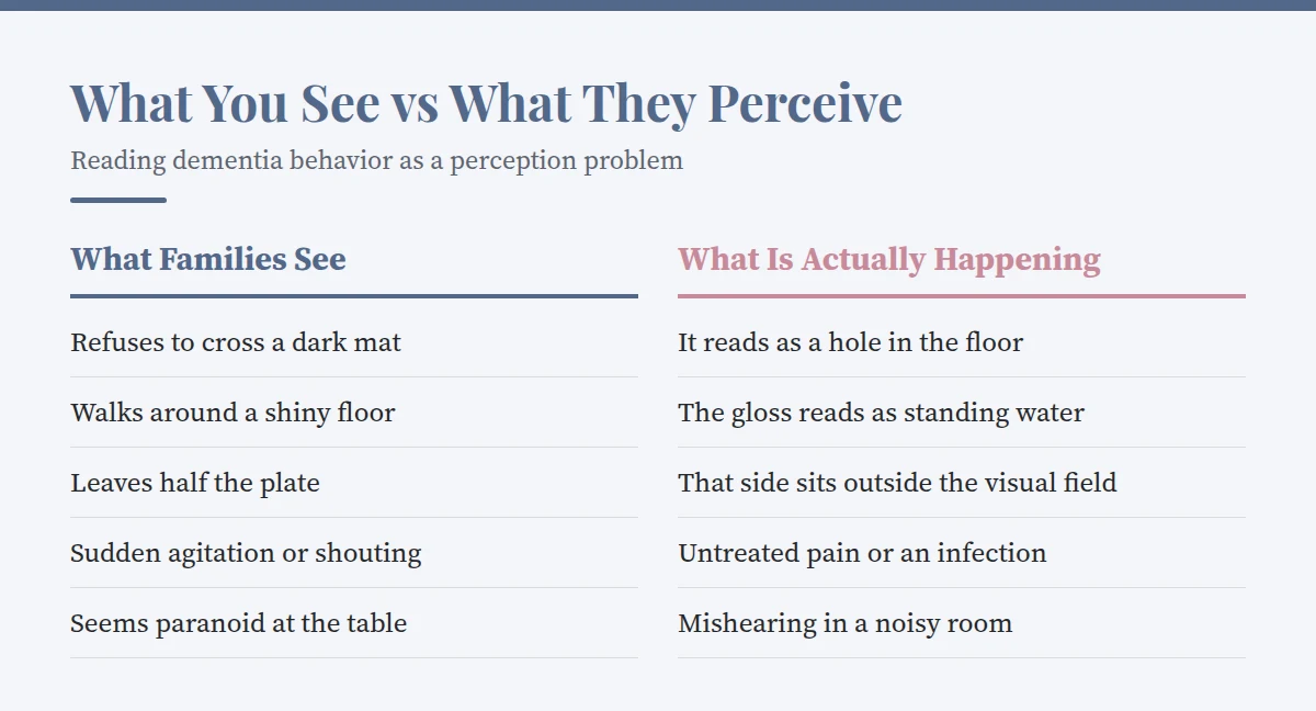 Summary card: What You See vs What They Perceive