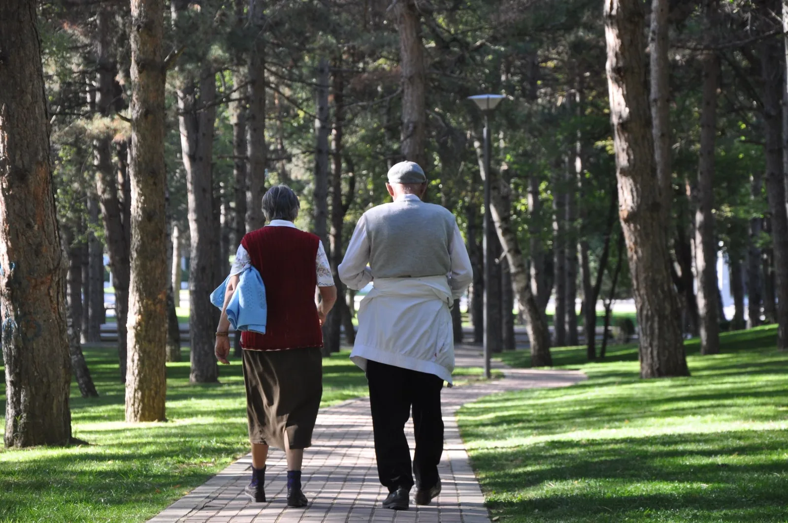 Older couple walking on a tree-lined park path